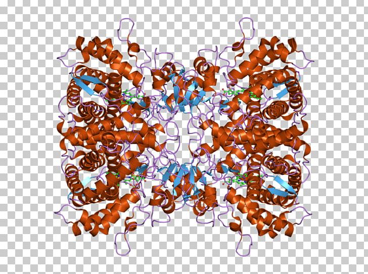Enzyme Regulation